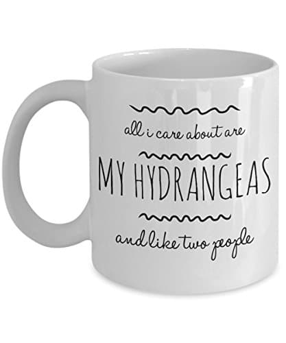 Hydrangea Mug - All I Care About Are My Hydrangeas and Like Two People - Florist or Gardener Hydrangea Gifts - Hydrangea Flower Coffee Cup