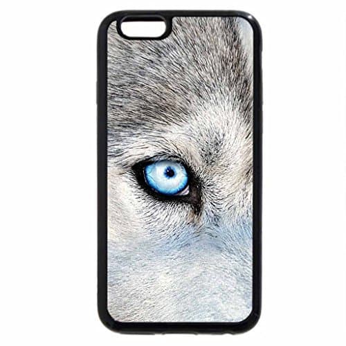 iPhone 6S Plus Case, iPhone 6 Plus Case, Siberian Husky with Blue Eyes
