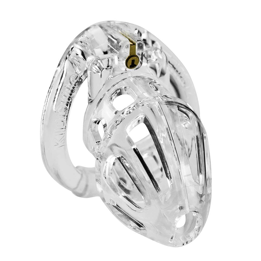 Ch+as+tity De+vice Bikinis Briefs G-Strings & Thongs Underwear for Male with 4 Rings 1 Lock and Keys