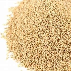 TEMPERADO Poppy Seed | KHUS KHUS (400)