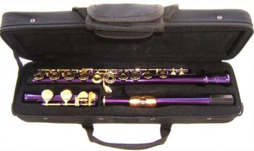 Purple Open Hole Flute