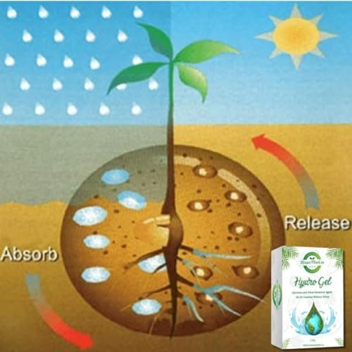 Kisanmart Hydrogel Polymer 1 Kg