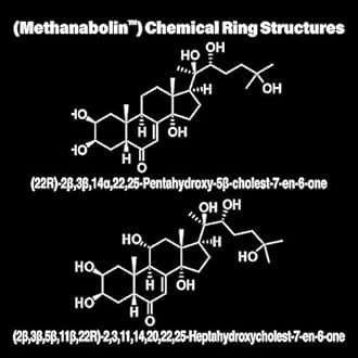 M1-BOL Extreme Anabolic Supplement – Dietary Supplement w/Turkesterone to Support Muscle Growth, Strength, Recovery – Vegan, 60 Capsules (2-Pack)