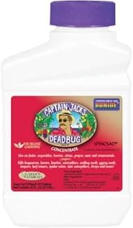 BonideCaptain Jack's Dead Bug Brew Conc. Pint