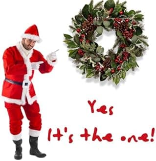 22-Inch Artificial Christmas Wreath with Pinecones, Red Berries, and Magnolia - Holiday Door Wreath for Indoor Outdoor, Winter Christmas Decor for Front Door, Fireplace, or Wall Display