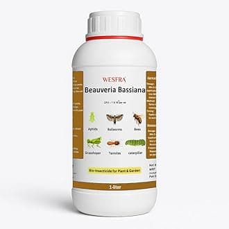 Beauveria Bassiana for Plants & Gardens | 1 Litre | Organic Pest Control Solution | Safe for Vegetables, Fruits, Flowers, & Lawns | for Agriculture & Home Gardening use