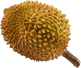 Gadpiparty Artificial Imitation Durian Fruit Decorations Fake Fruit Simulation Durian Table Centerpieces for Party Durian Model Artificial Durian Decoration Artificial Fruit