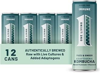 One Living Plus Immune Kombucha Drink - Ginger 12x 250ml Cans - Authentically Brewed Kombucha with Live Cultures - Added Reishi Mushroom and Vitamin D