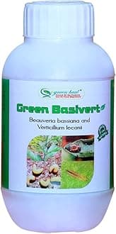 Basivert Beauveria Bassiana and Verticillium Lecanii (250 ML)