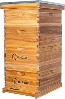 10 Frame Langstroth Bee Hive Coated with 100% Beeswax Includes Beehive Frames and Waxed Foundations (2 Deep Boxes & 2 Medium Boxes)