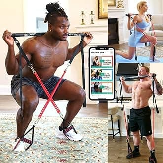 Complete Portable Full Body Home Gym Park Workout Set I Resistance Bands for Beginners to Elite Athletes I Collapsible Resistance Bar I Train Insane (Upgraded Version)