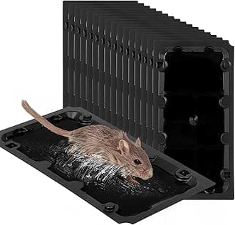 20 Pack Sticky Mouse Trap Rat Traps Indoor, Peanut Taste Pheromone Mouse Traps Indoor for Home, Glue Sticky Traps for Mice and Rats, Snake(Large Size)
