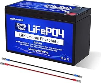 12V 8AH LiFePO4 Battery,4000+ Cycles Lithium Deep Cycle Battery with 8A BMS,for Solar,Fish Finder,Power Wheels,Lighting,Alarm System
