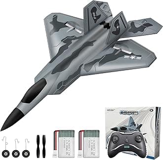 2 CH RC Airplane, F-22 Plane Ready to Fly, 2.4GHz Remote Control, Easy to Fly RC Glider for Kids & Beginners
