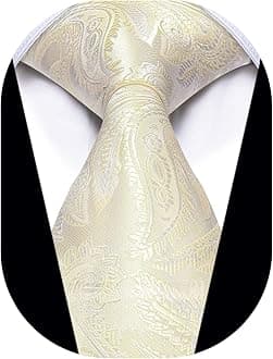 Paisley Men's Necktie Woven Silk Floral Ties for Men Designer Formal Business Party Wedding