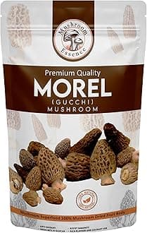 Mushroom Essence Morel Mushroom Jumbo Size Dried Wild Harvested Nature | Tail Cut Gucchi Mushroom | 50gm (Pack of 1)