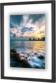 ONE WALL 16x20 Inch Floating Frame, Black Wood Double Glass Float Picture Frame Display 16x20/11x14 Inch Photos or Plant or Petal Specimens for Wall Hanging - Mounting Accessories Included
