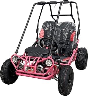 Trailmaster Mini XRX/R+ Go Kart with Reverse Top of The line. Age up to 10 Years Old Pedals and Seats Adjust (Black)