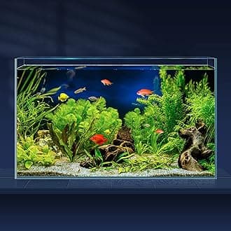 LAQUAL 10 Gallon Ultra Clear Glass Fish Tank, Rimless Low Iron Aquarium for Betta/Nano/Goldfish/Snail/Shrimp, Big Fish Tank & Cover Set & Feeding Ring & Cleaning Tools