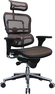 Eurotech Seating Ergohuman High Back Mesh Managers Chair, Orange