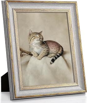 Sapowerntus Vintage 8x10 Picture Frame Gold Line Grey Distressed Photo Frames Set Antique Gray Wall Hanging Tabletop Display Home Decor Retro Shabby Chic Elegant Family Unique Gift