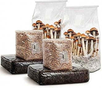 - 6 LB All-in-One Mushroom Grow Kit 2-Pack, Up to 128oz of Fresh Mushrooms Over 6 Flushes, Sterilized Grain Bags & Dung-Loving Substrate, Injection Port, OMRI-Listed, Made in USA, Just Add Spores