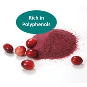 Cranberry Whole Dried Fruit Powder 2oz