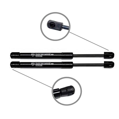 AutoCat 2 Rear Tailgate Trunk Liftgate Lift Support Struts Shock for 04-07 Cadillac Cts