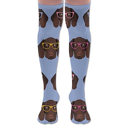 German Shorthaired Pointer In Glasses Over Knee High Boots Long Socks For Women & Girls