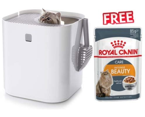 ModKat Modko Cat Litter Box White Innovative Litter Box For Clean Surrounding Area With Silver Litter Insert and Scoop + Royal Canin Intense Beauty in Gravy