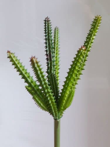 Decoratives Different Small Artificial Plants Cactus Column Green Miniature Succulents Desert Fake Plastic Landscape Table Desk Kitchen Home Decor Garden Lifelike Plant