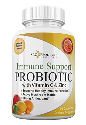 Immune System Support Enhanced with Probiotics Vitamin C Zinc Echinacea Astragalus Root & Mushroom - Dr Formulated 60 Delayed Release Capsules