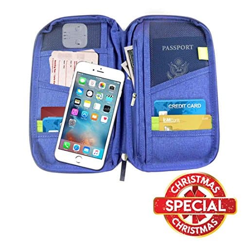 In Hand Organizer | Handy Waterproof Multipurpose RFID Blocking ID Card Passport Wallet Purse Pouch Holder | Premium Oxford Cloth with Zipped Closure to Organize Credit Debit Cards Cash | Navy Blue