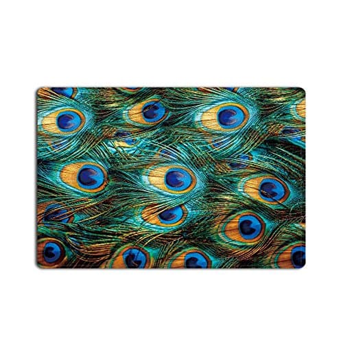 Cloud Dream Natural Peacock Tail Feathers with Eyes Theme Print Indoor/Outdoor Decor Rug Doormat 23.6 x 15.7inch