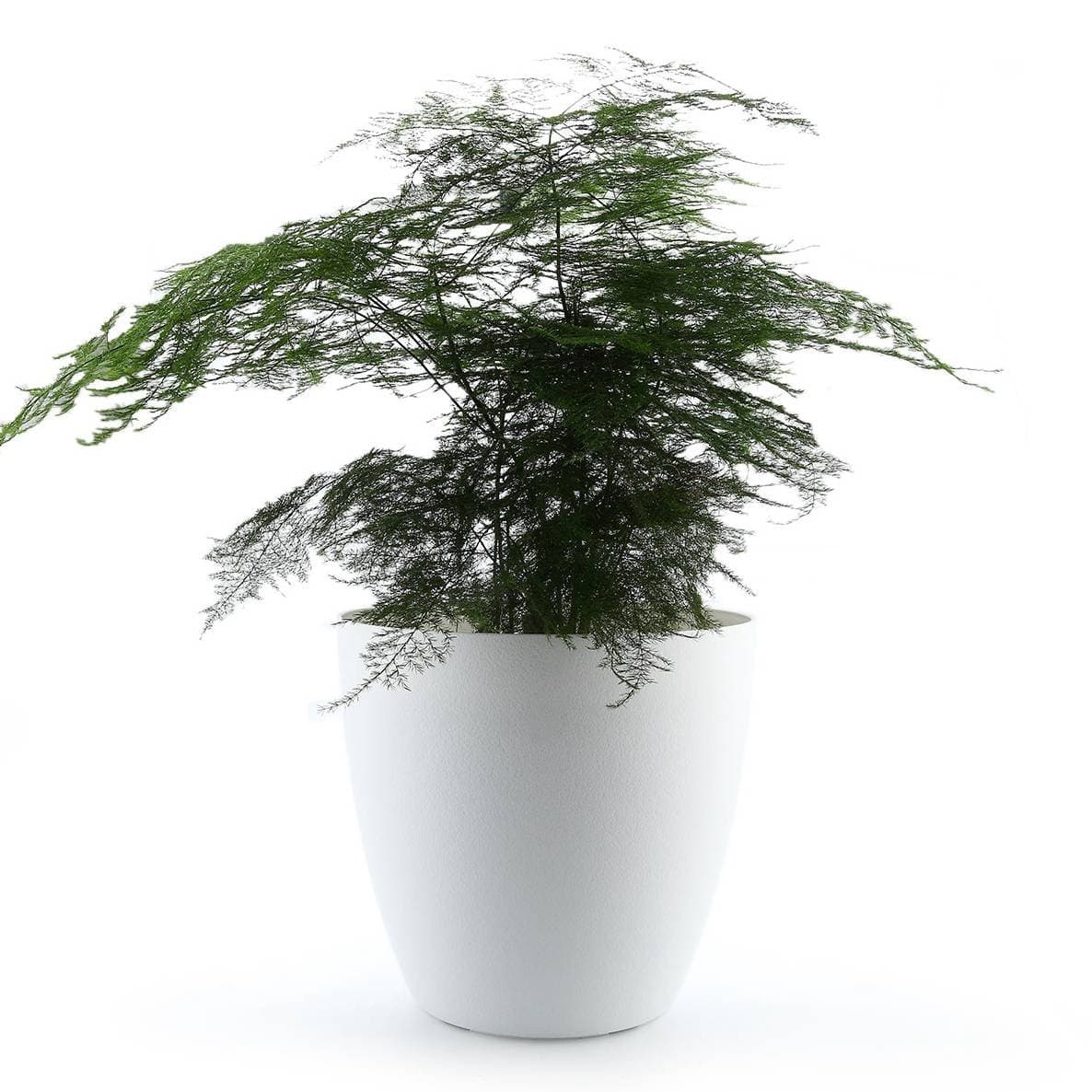 ComSaf 28CM Self Watering Plastic Planter with Water Level Indicator White, Modern Decorative Planter Pot for All House Plants, Flowers, Herbs, African Violets, Succulents