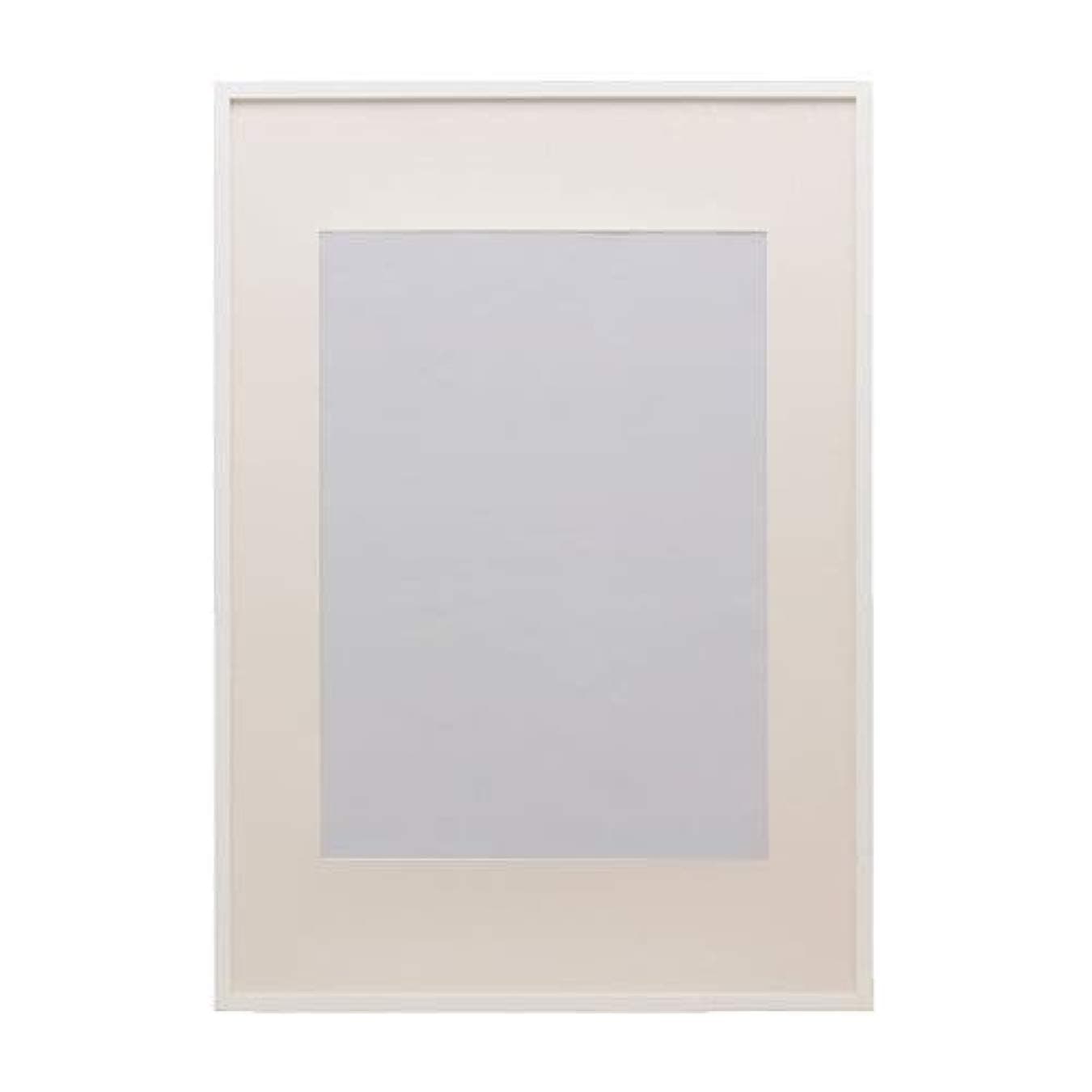 IKEA Ribba Frame White 002.688.76 Size:19 3/4x27 1/2"