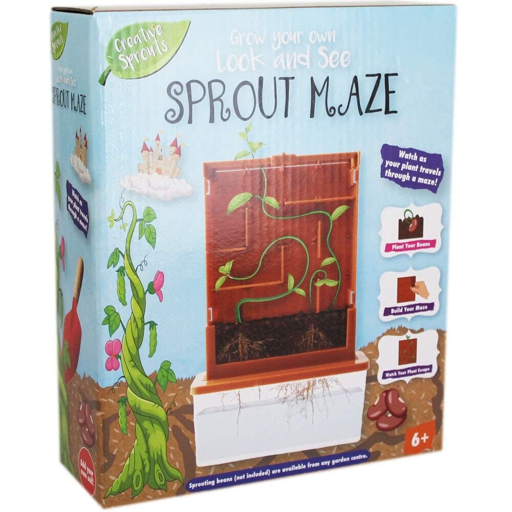Grow Your Own Sprout Maze