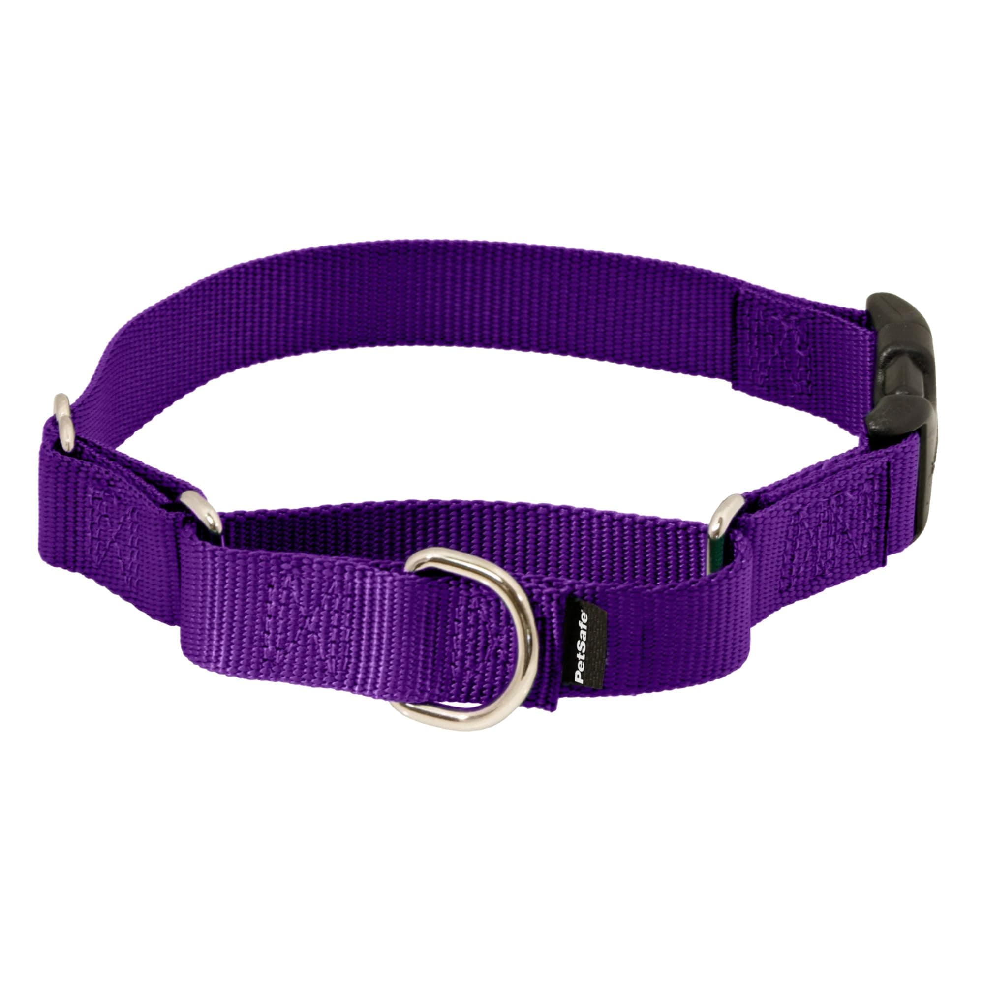 PetSafe Adjustable Martingale Collar - Improves Leash Manners - Escape Prevention - Gentle Behavior Training - Durable Nylon - Alternative to Choke Collar - Small 3/4" - Deep Purple