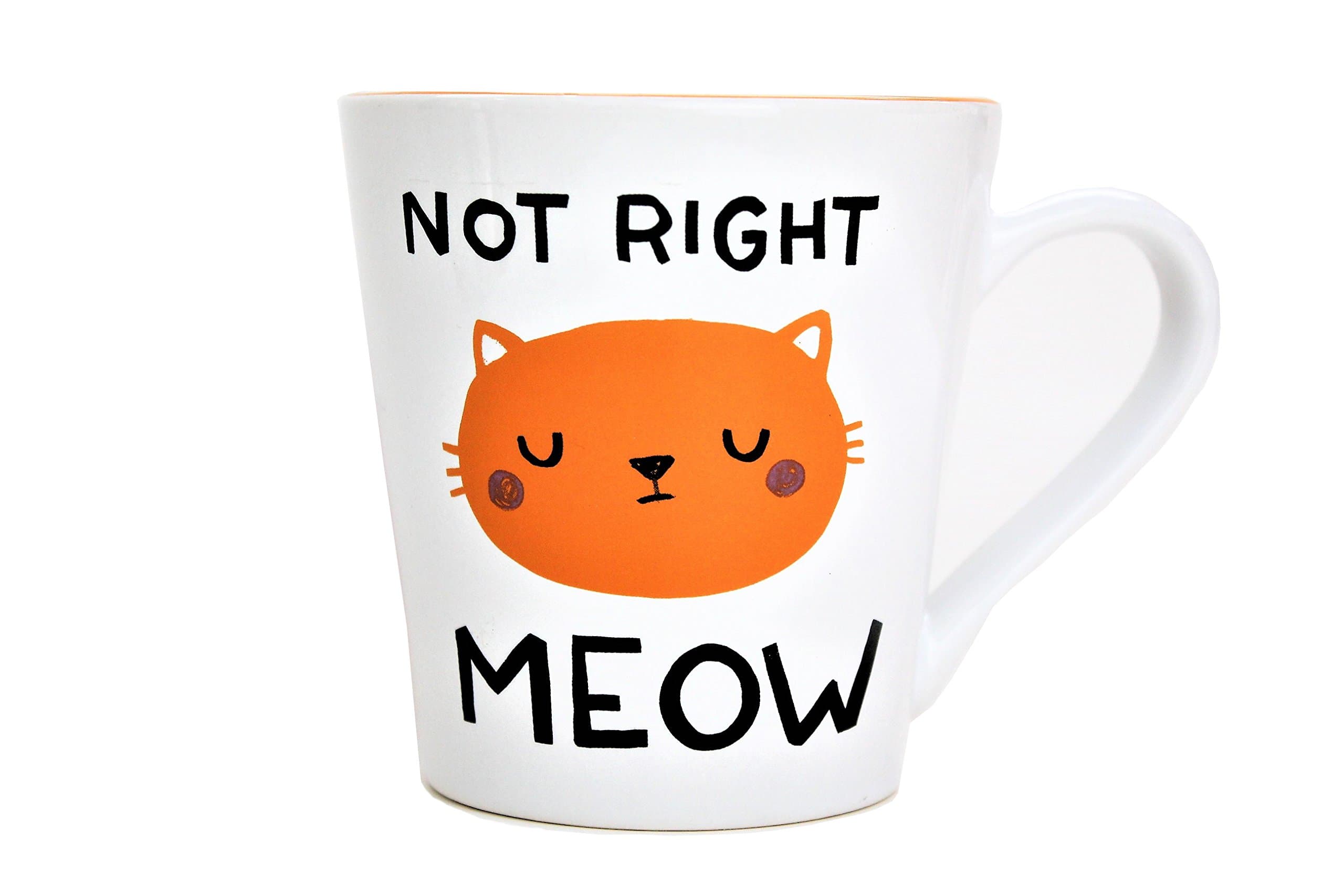 18oz Funny Pun Mug - Not Right Meow