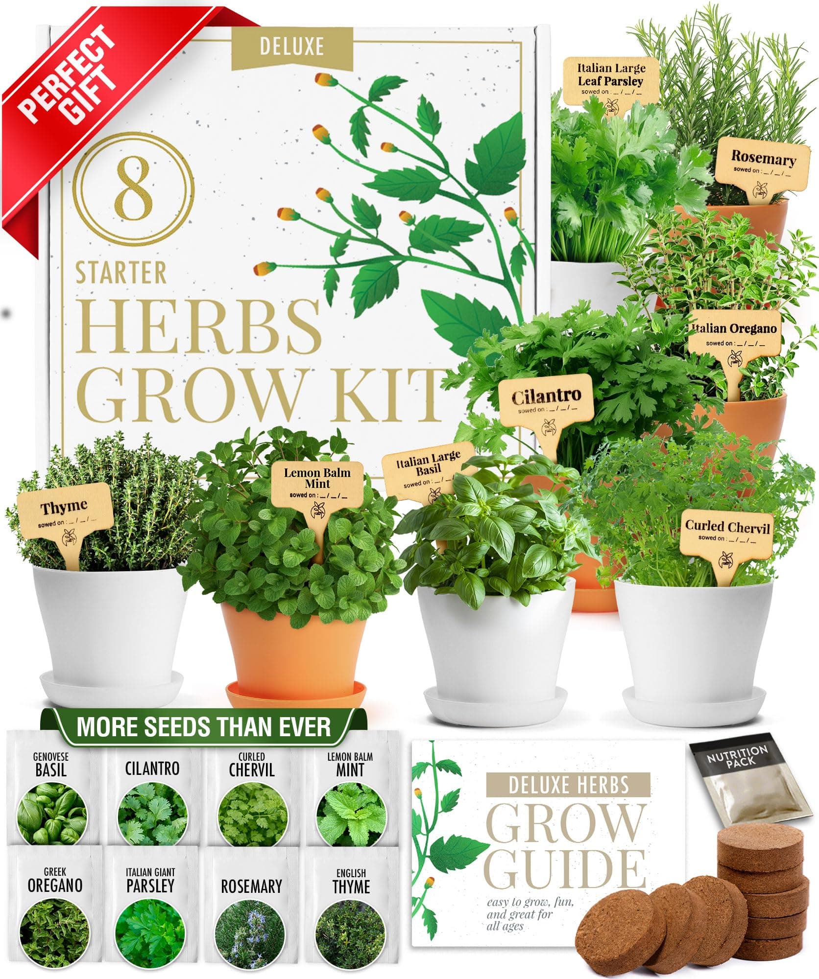 HOME GROWN Gift Herb Kit – 8 Herb Seeds Set with Basil, Cilantro, Mint & More, Complete Indoor Grow Kit for Kitchen, Gardening Gifts for Women & Men, Ideal for Cooking & Home Décor