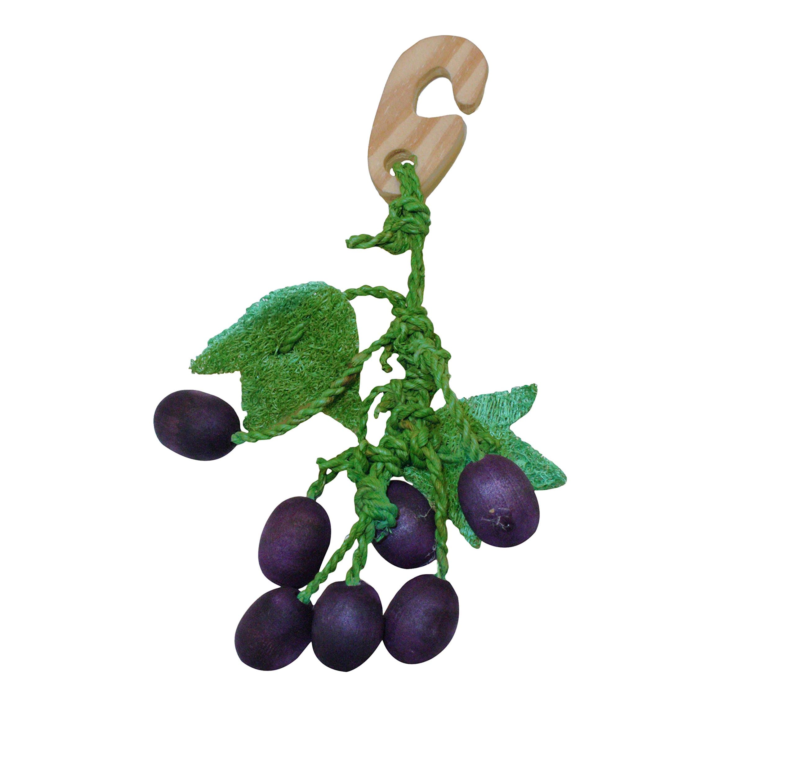 Critter's Choice Grape Nibbler Chew Toy