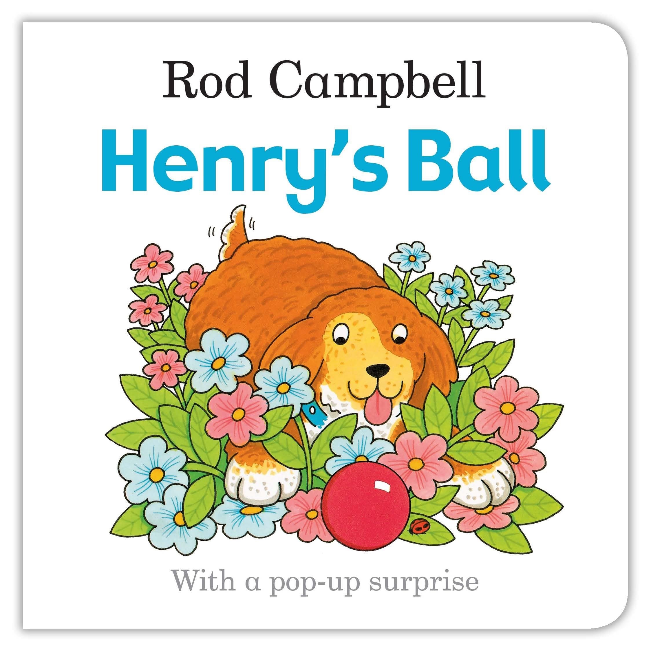 Henry's Ball Board book – Illustrated, 31 Dec. 2015